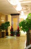 Туры в отель Donghua Hotel