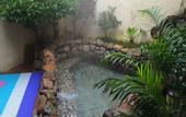 Туры в отель Anyuan Sanbaishan Hot Spring Resort Hotel