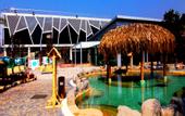 Туры в отель Anyuan Sanbaishan Hot Spring Resort Hotel