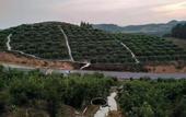 Туры в отель Anyuan Sanbaishan Hot Spring Resort Hotel