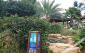 Туры в отель Anyuan Sanbaishan Hot Spring Resort Hotel
