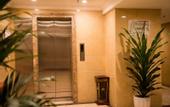 Туры в отель Chongqing Ba Bai Feng Traders Hotel