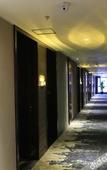 Туры в отель Venus Royal Hotel (Foshan Financial High Tech Zone)