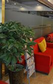 Туры в отель Homeinn Pebble Hotel (Urumqi Huanghe Road Chinese Medicine Hospital)