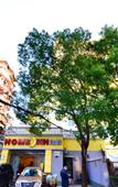 Туры в отель Home Inn Neo (Wuhan Yellow Crane Tower Shouyi Road Subway Station)