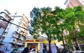 Туры в отель Home Inn Neo (Wuhan Yellow Crane Tower Shouyi Road Subway Station)