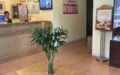 Туры в отель Home Inn Neo (Wuhan Yellow Crane Tower Shouyi Road Subway Station)