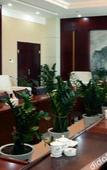Туры в отель Yumen Sunshine Hotel