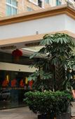 Туры в отель Qunxian Hotel