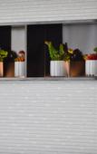 Туры в отель Home Inns Hotel (Wuhan Wansongyuan)