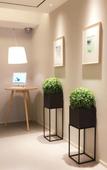 Туры в отель Home Inns Hotel (Wuhan Wansongyuan)