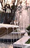 Туры в отель Wyndham Garden Zhengzhou East