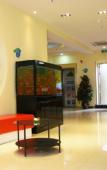 Туры в отель Homeinn Pebble Hotel (Dalian Railway Station)