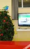 Туры в отель Homeinn Pebble Hotel (Dalian Railway Station)