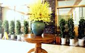 Туры в отель Zhuo Garden Hotel