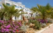 Туры в отель Cyclamens Hotel Mechmoum