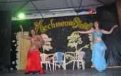 Туры в отель Cyclamens Hotel Mechmoum