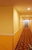 Туры в отель Home Inn (Shanghai Qingpu Chengzhong North Road Shiji Lianhua Plaza)