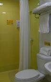 Туры в отель Home Inn Plus (Hangzhou West Bus Station Xixi Wetland)