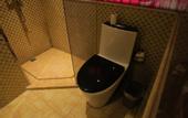 Туры в отель Haitang Hotel (Shanghai Fudan University)