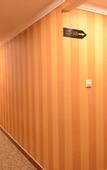 Туры в отель Longteng Hostel