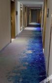 Туры в отель The Sussie Hotel (Quanzhou Fengze Yunlu)