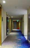 Туры в отель The Sussie Hotel (Quanzhou Fengze Yunlu)
