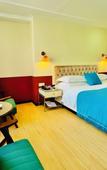 Туры в отель Carnation Business Hotel