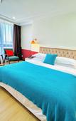 Туры в отель Carnation Business Hotel