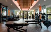 Туры в отель Parklane a Luxury Collection Resort & Spa