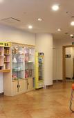 Туры в отель 7 Days Inn (Shenzhen Science Museum Metro Station)