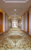 Туры в отель Vienna International Hotel (Shenzhen  Shiyan Shangwu Subway Station Branch)