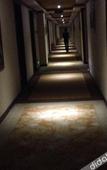 Туры в отель Shenzhen Zhili Hotel