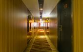 Туры в отель Hongye Taotao Hotel (Headquarters Center Wanda Branch)
