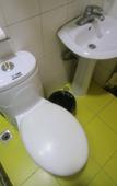Туры в отель Stars 99 Hotel (Shanghai University of Finance and Economics)