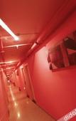 Туры в отель Stars 99 Hotel (Shanghai University of Finance and Economics)