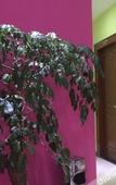 Туры в отель Yizhou Hotel