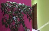 Туры в отель Yizhou Hotel