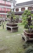 Туры в отель Floral Hotel ·Xunxi Garden Hotel(Nanxun Ancient Town Branch)