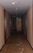 Туры в отель Super 8 Hotel