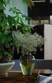 Туры в отель Floral Hotel·Shaoxing No. 57 Hotel (Hometown of Lu Xun, Shaoxing)