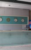 Туры в отель Paojiang Xinyuansu Business Hotel