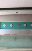 Туры в отель Paojiang Xinyuansu Business Hotel