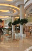 Туры в отель Platinum Hanjue Hotel Wuzhong