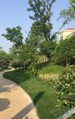 Туры в отель Holiday Inn Evernight City