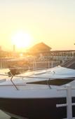 Туры в отель Holiday Inn Evernight City
