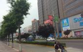 Туры в отель Yongqing Hotel