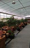 Туры в отель Weilao Hotel (Chengdu Shuangliu International Airport Haibin City Branch)
