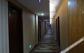 Туры в отель Muse Hotel