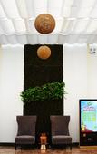Туры в отель Family Tianzhongxing Hotel Zhumadian